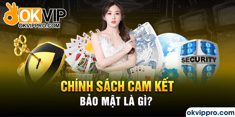 Chính sách cam kết bảo mật là gì?